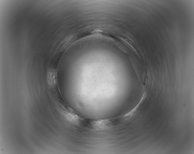 X0000055520191200508121053