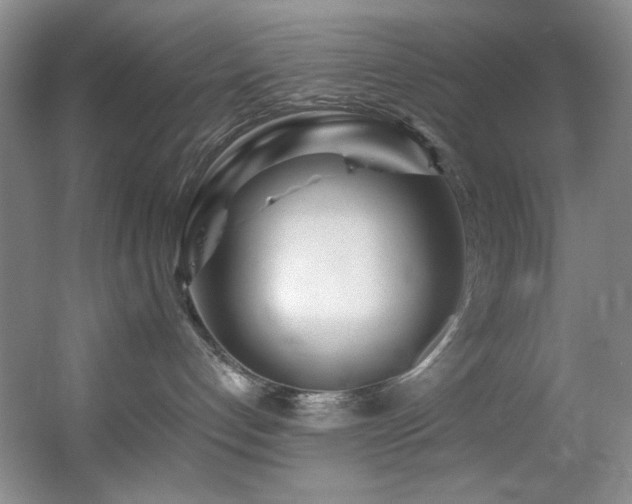 X0000055520192200508121053