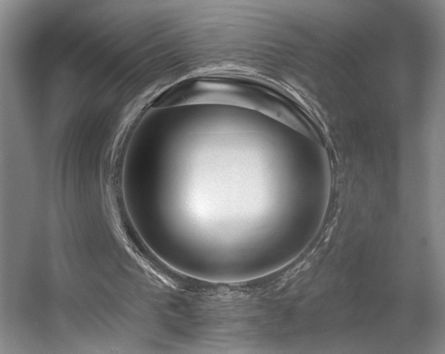 X0000055520193200508121052