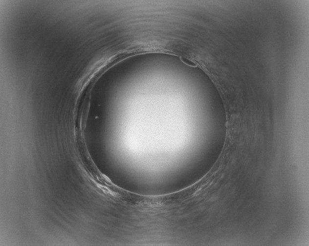 X0000055520194200508121052