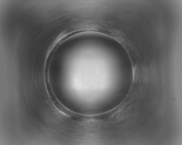 X0000055520195200508121052