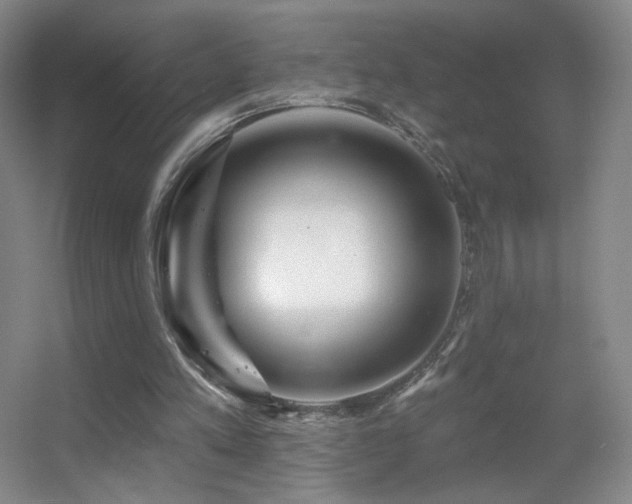 X0000055520197200508121052