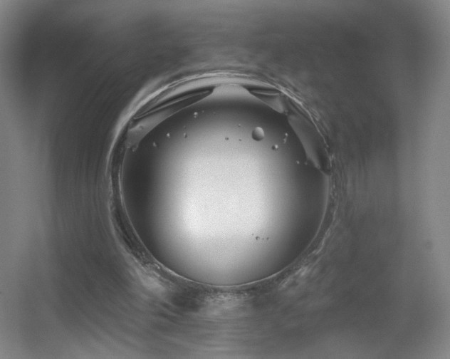 X0000055520198200508121052