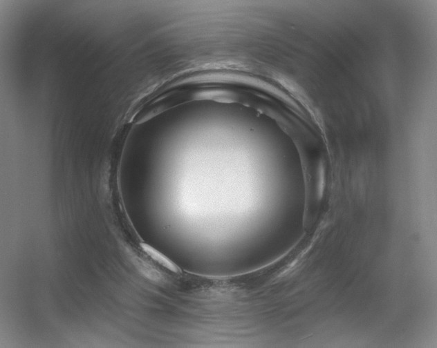 X0000055520201200508121052