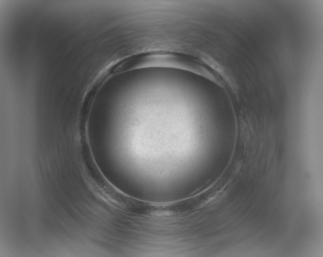 X0000055520203200508121052