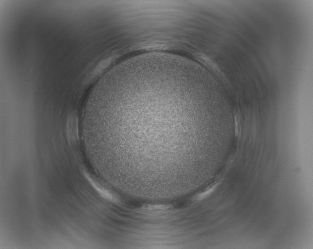 X0000055520205200508121052