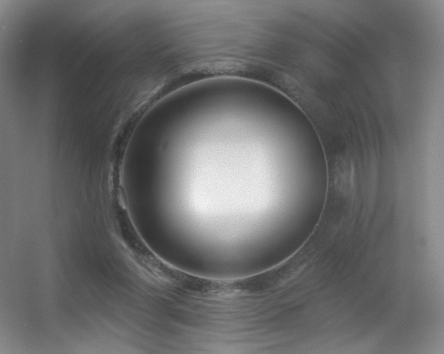 X0000055520206200508121052