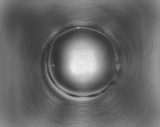 X0000055520207200508121052