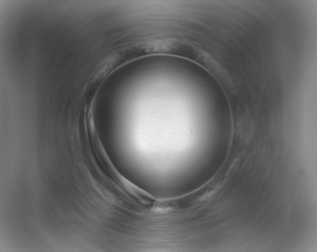 X0000055520209200508121052