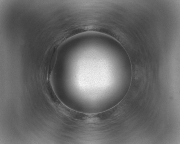 X0000055520210200508121052