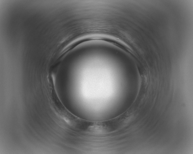 X0000055520211200508121052