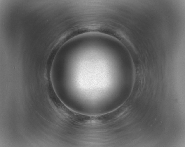 X0000055520212200508121052