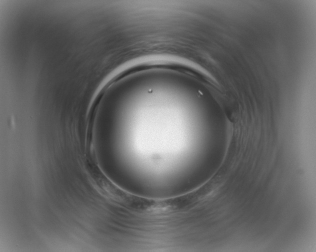 X0000055520213200508121052