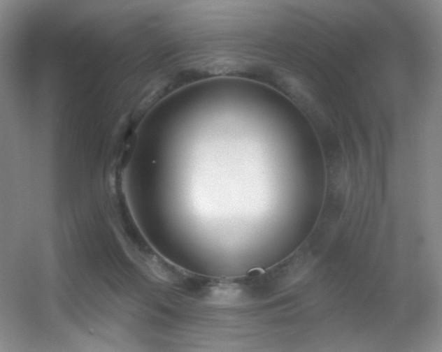 X0000055520214200508121052