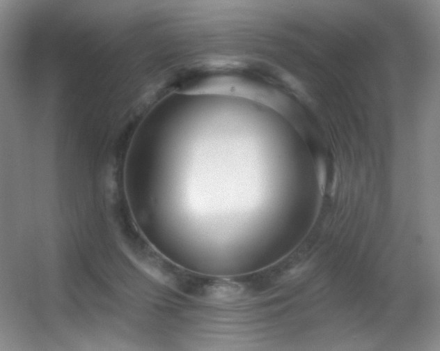 X0000055520215200508121052