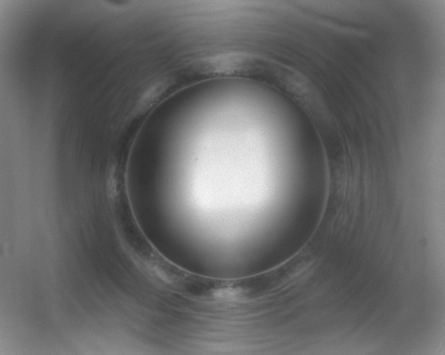 X0000055520216200508121052