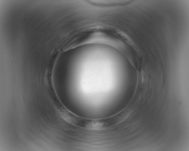 X0000055520217200508121052