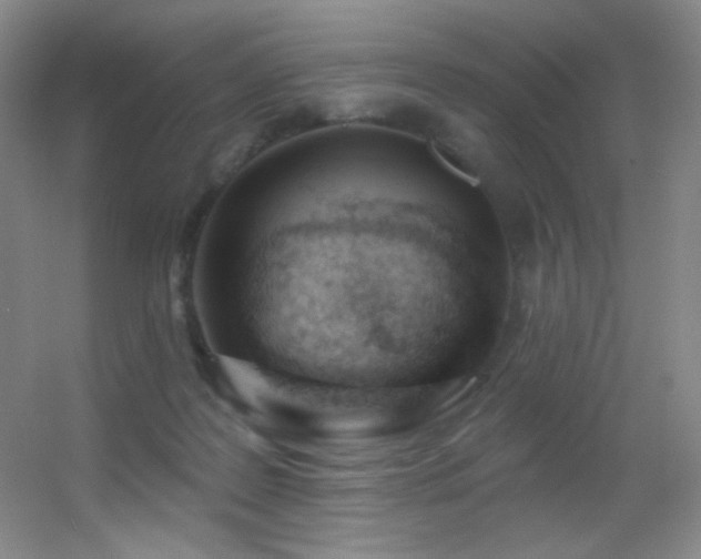 X0000055520219200508121052