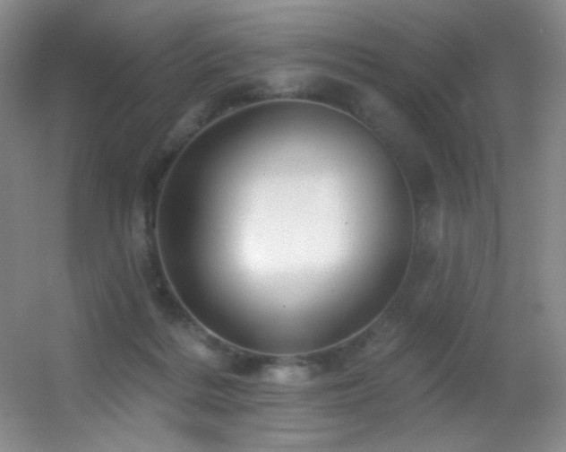 X0000055520220200508121052