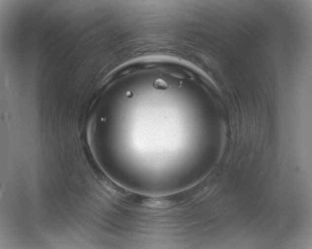 X0000055520221200508121052