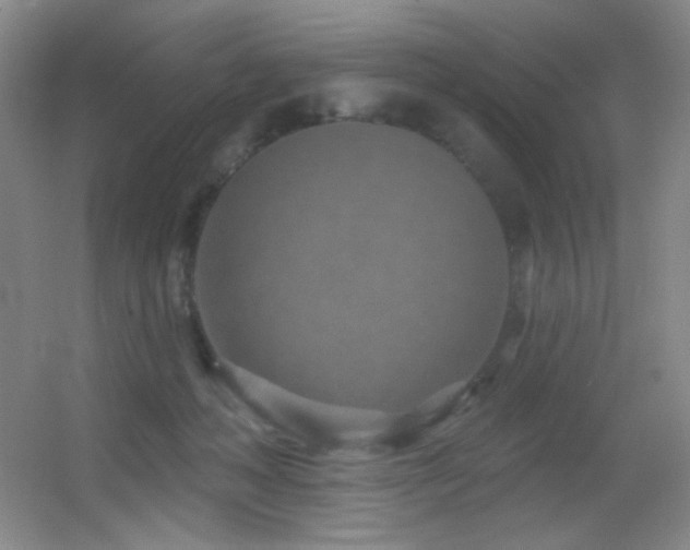 X0000055520222200508121052