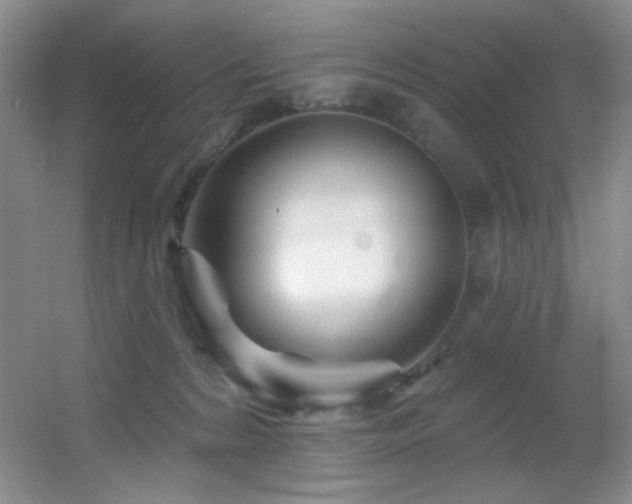 X0000055520224200508121052
