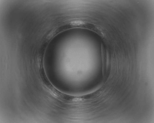 X0000055520227200508121052