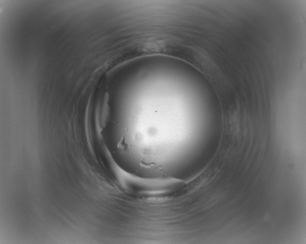 X0000055520228200508121052
