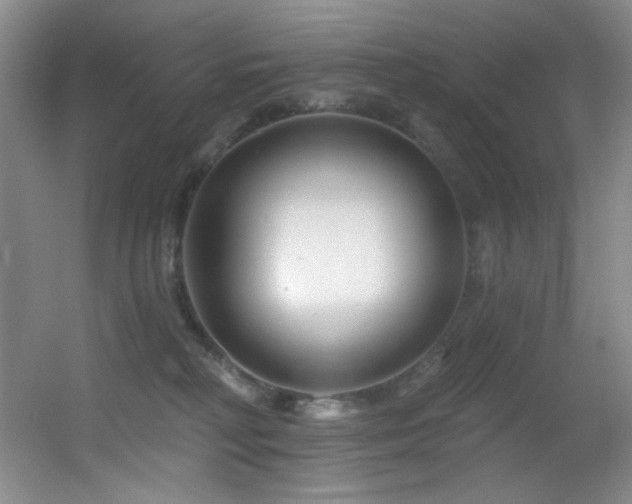 X0000055520230200508121051