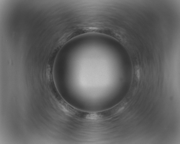 X0000055520231200508121051