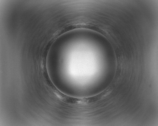 X0000055520232200508121051