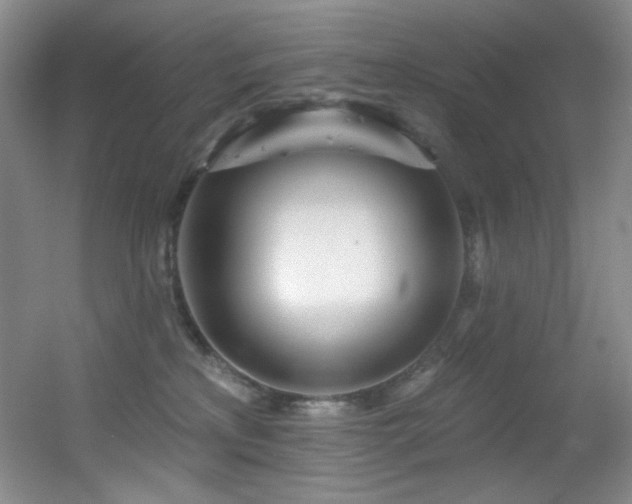 X0000055520233200508121051