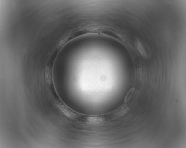 X0000055520234200508121051