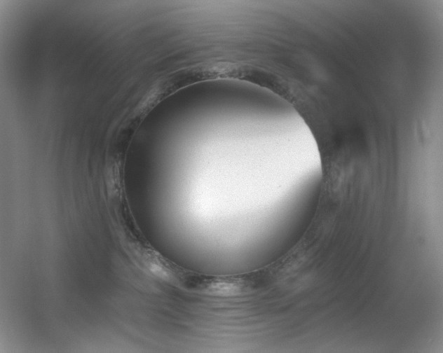 X0000055520236200508121051