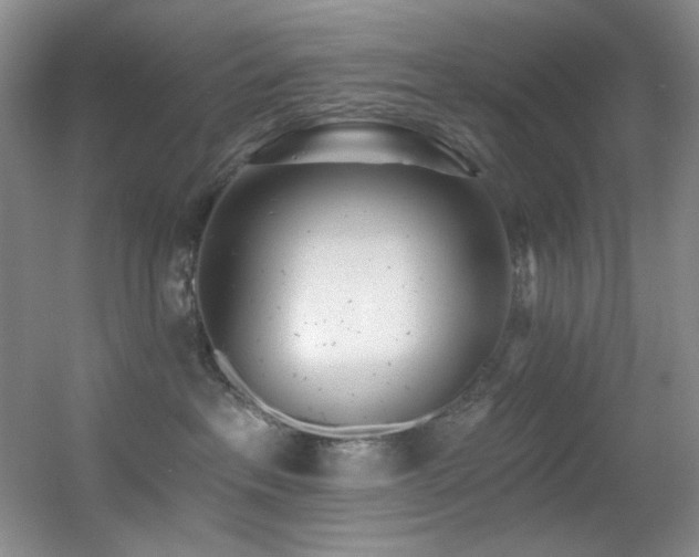 X0000055520237200508121051