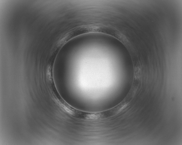 X0000055520238200508121051