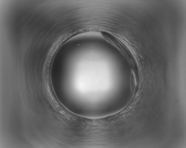 X0000055520241200508121050