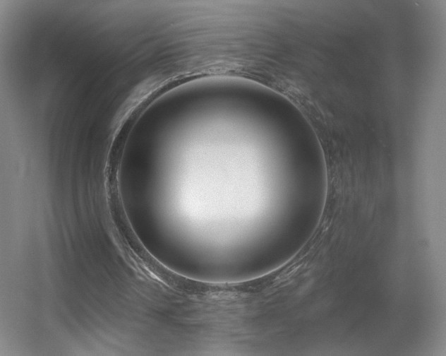 X0000055520242200508121050