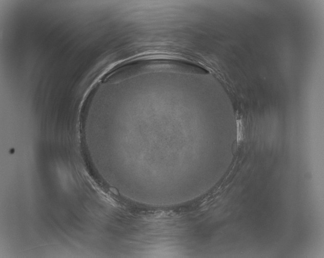 X0000055520243200508121051
