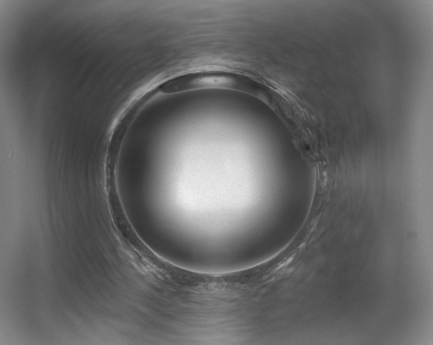 X0000055520244200508121051