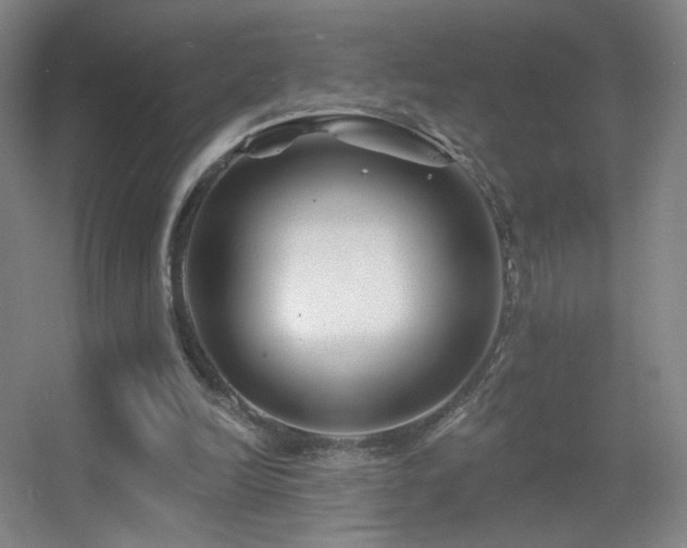 X0000055520246200508121051