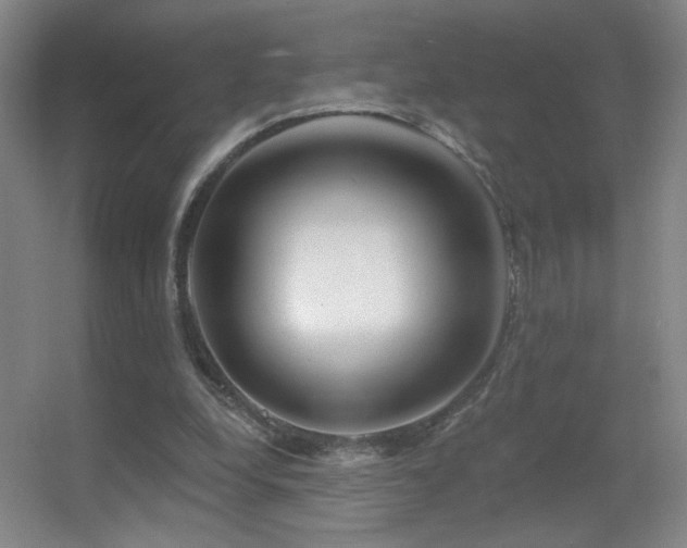 X0000055520248200508121051