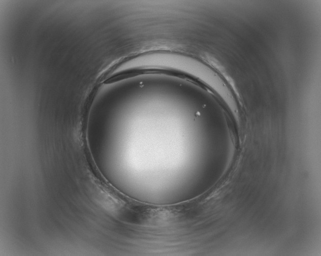 X0000055520249200508121051