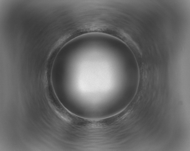 X0000055520250200508121051