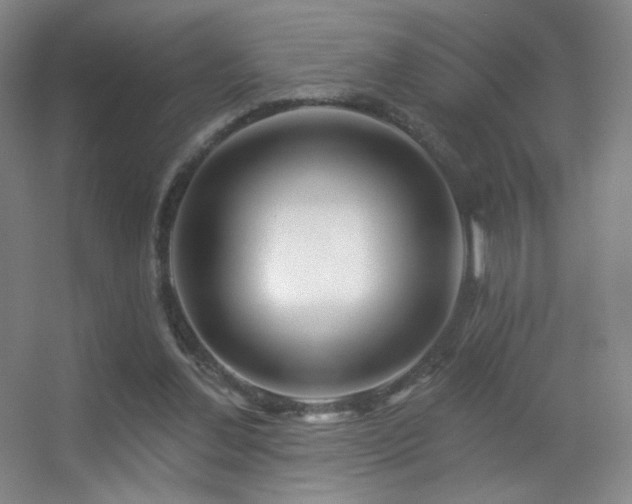 X0000055520252200508121051