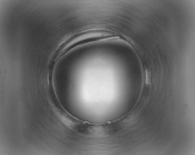 X0000055520253200508121051