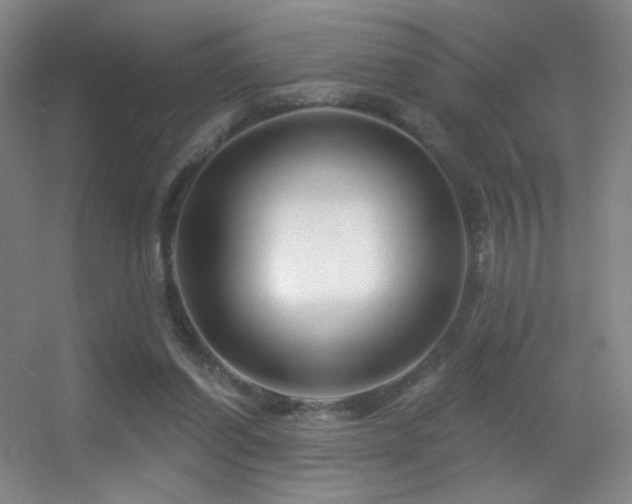 X0000055520254200508121051