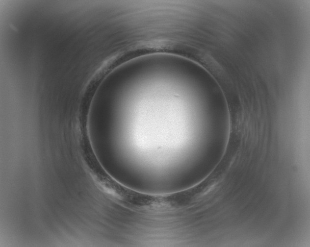 X0000055520256200508121051