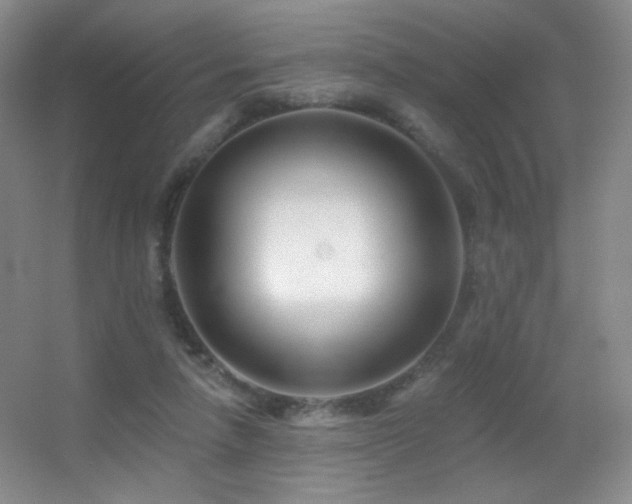 X0000055520258200508121051