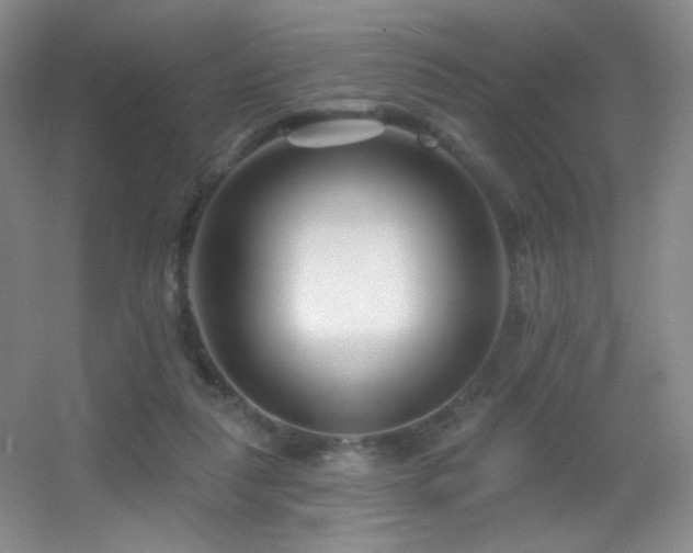 X0000055520259200508121051